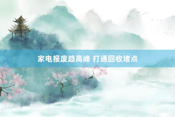 家电报废趋高峰 打通回收堵点