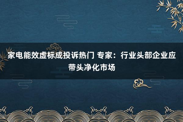 家电能效虚标成投诉热门 专家：行业头部企业应带头净化市场