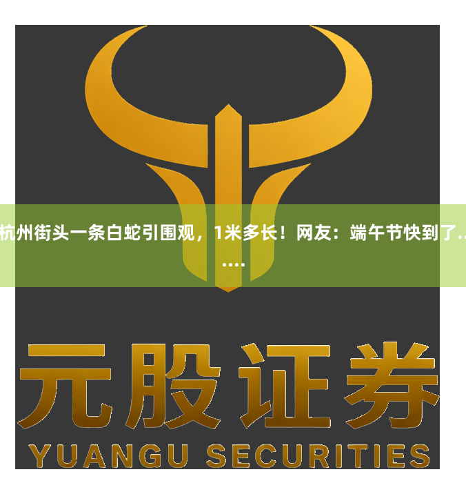 杭州街头一条白蛇引围观，1米多长！网友：端午节快到了......