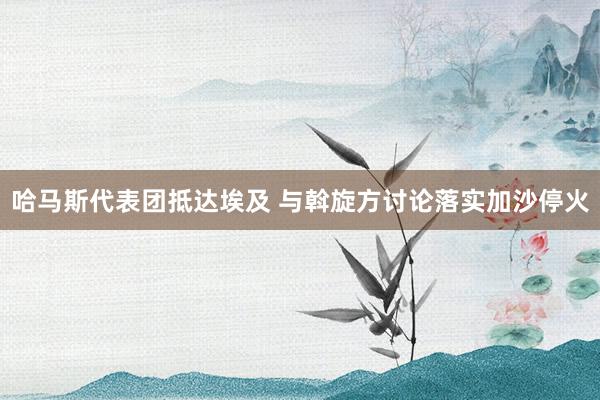 哈马斯代表团抵达埃及 与斡旋方讨论落实加沙停火
