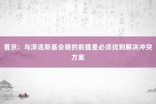 普京：与泽连斯基会晤的前提是必须找到解决冲突方案