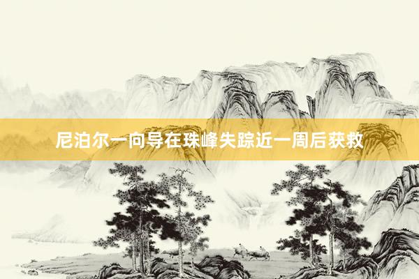 尼泊尔一向导在珠峰失踪近一周后获救