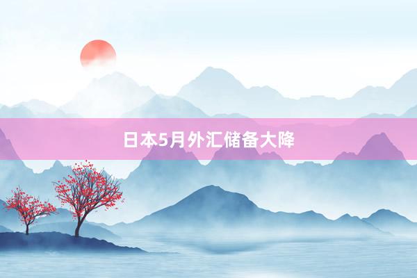日本5月外汇储备大降