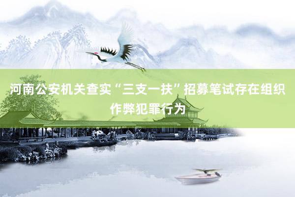 河南公安机关查实“三支一扶”招募笔试存在组织作弊犯罪行为