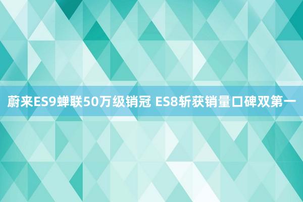 蔚来ES9蝉联50万级销冠 ES8斩获销量口碑双第一