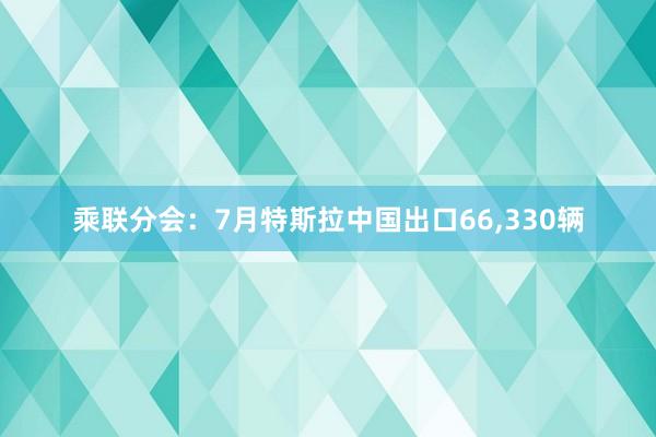乘联分会：7月特斯拉中国出口66,330辆