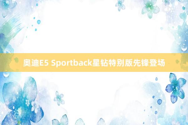 奥迪E5 Sportback星钻特别版先锋登场