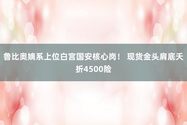 鲁比奥嫡系上位白宫国安核心岗！ 现货金头肩底夭折4500险