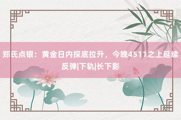 郑氏点银：黄金日内探底拉升，今晚4511之上延续反弹|下轨|长下影