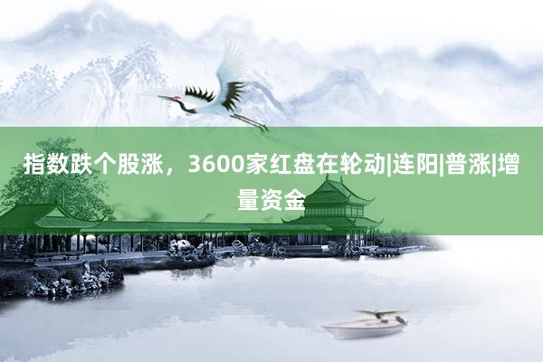 指数跌个股涨，3600家红盘在轮动|连阳|普涨|增量资金
