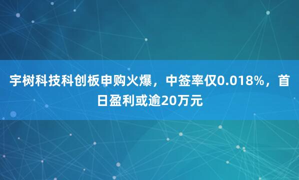 宇树科技科创板申购火爆，中签率仅0.018%，首日盈利或逾20万元