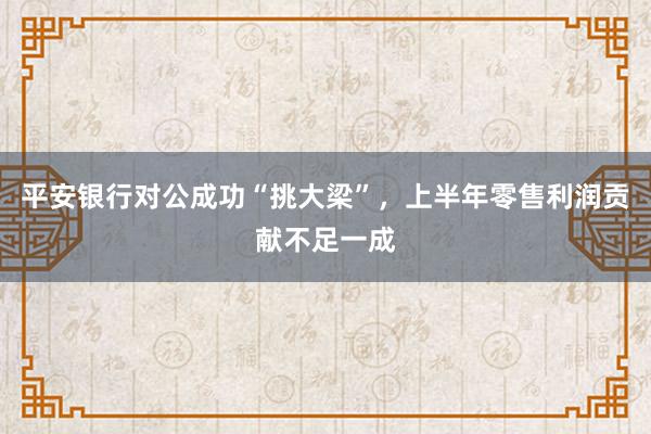 平安银行对公成功“挑大梁”，上半年零售利润贡献不足一成