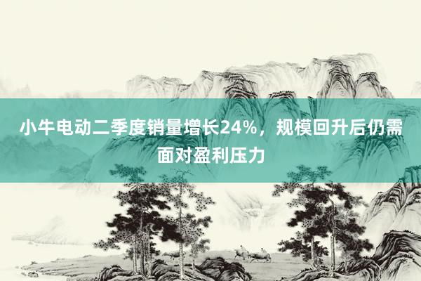 小牛电动二季度销量增长24%，规模回升后仍需面对盈利压力