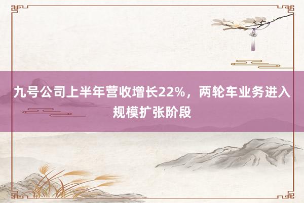 九号公司上半年营收增长22%，两轮车业务进入规模扩张阶段