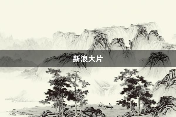 新浪大片