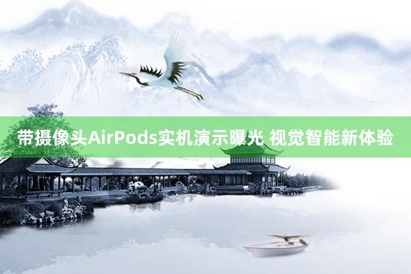 带摄像头AirPods实机演示曝光 视觉智能新体验