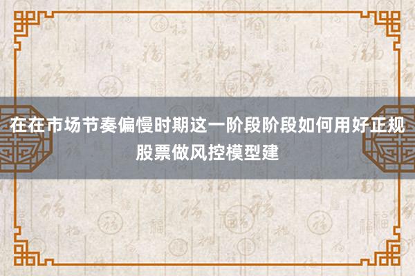 在在市场节奏偏慢时期这一阶段阶段如何用好正规股票做风控模型建