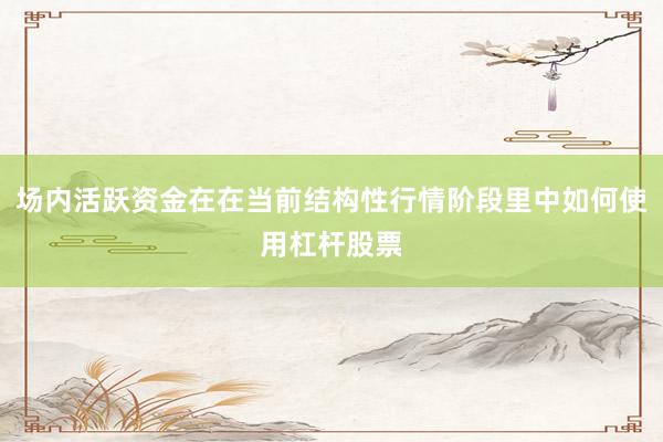 场内活跃资金在在当前结构性行情阶段里中如何使用杠杆股票
