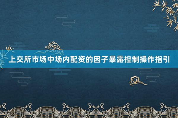 上交所市场中场内配资的因子暴露控制操作指引