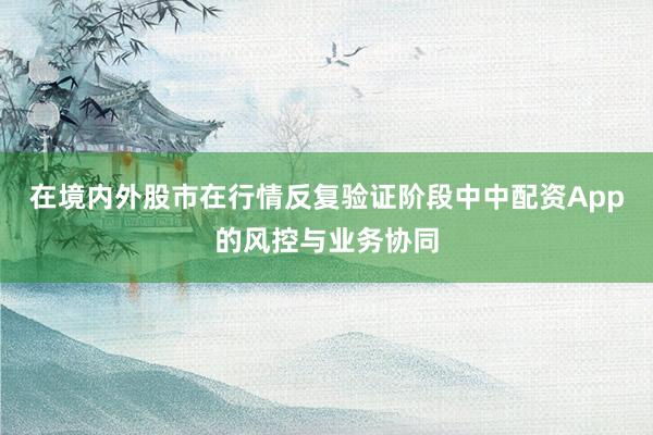 在境内外股市在行情反复验证阶段中中配资App的风控与业务协同