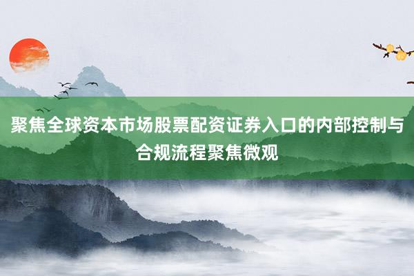 聚焦全球资本市场股票配资证券入口的内部控制与合规流程聚焦微观