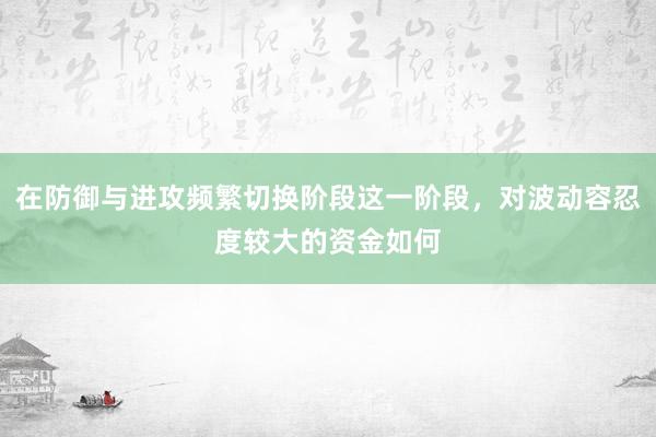 在防御与进攻频繁切换阶段这一阶段，对波动容忍度较大的资金如何