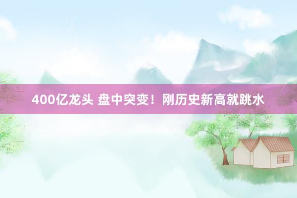 400亿龙头 盘中突变！刚历史新高就跳水