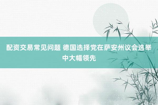配资交易常见问题 德国选择党在萨安州议会选举中大幅领先