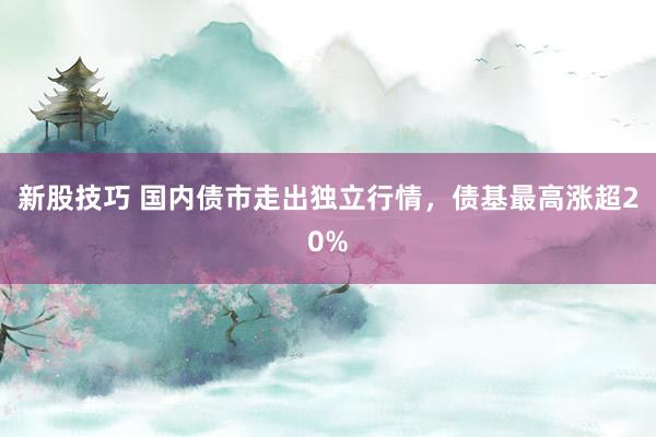 新股技巧 国内债市走出独立行情，债基最高涨超20%