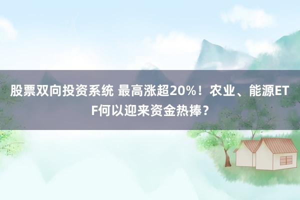 股票双向投资系统 最高涨超20%！农业、能源ETF何以迎来资金热捧？