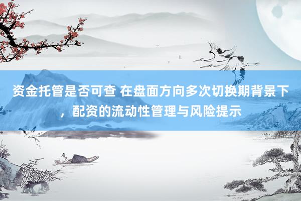 资金托管是否可查 在盘面方向多次切换期背景下，配资的流动性管理与风险提示