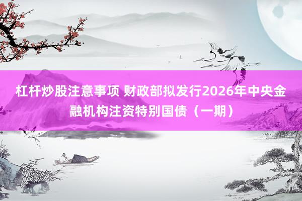 杠杆炒股注意事项 财政部拟发行2026年中央金融机构注资特别国债（一期）