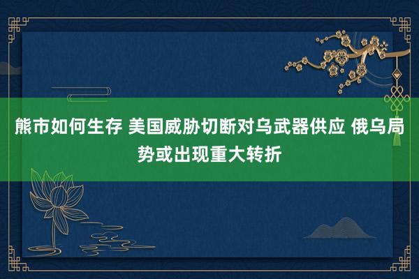 熊市如何生存 美国威胁切断对乌武器供应 俄乌局势或出现重大转折