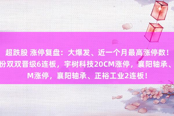 超跌股 涨停复盘：大爆发、近一个月最高涨停数！海洋王、大业股份双双晋级6连板，宇树科技20CM涨停，襄阳轴承、正裕工业2连板！