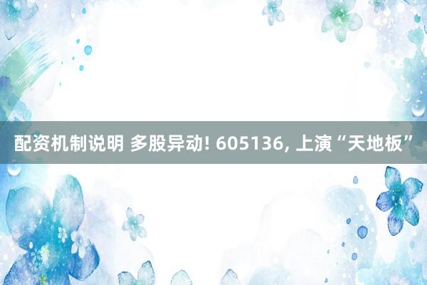 配资机制说明 多股异动! 605136, 上演“天地板”
